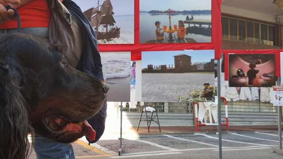 21687900_1510639795672350_4549562624587410399_n