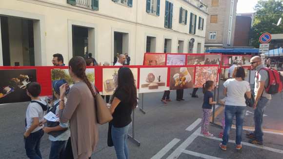 22045941_1510639475672382_106232279206377387_n