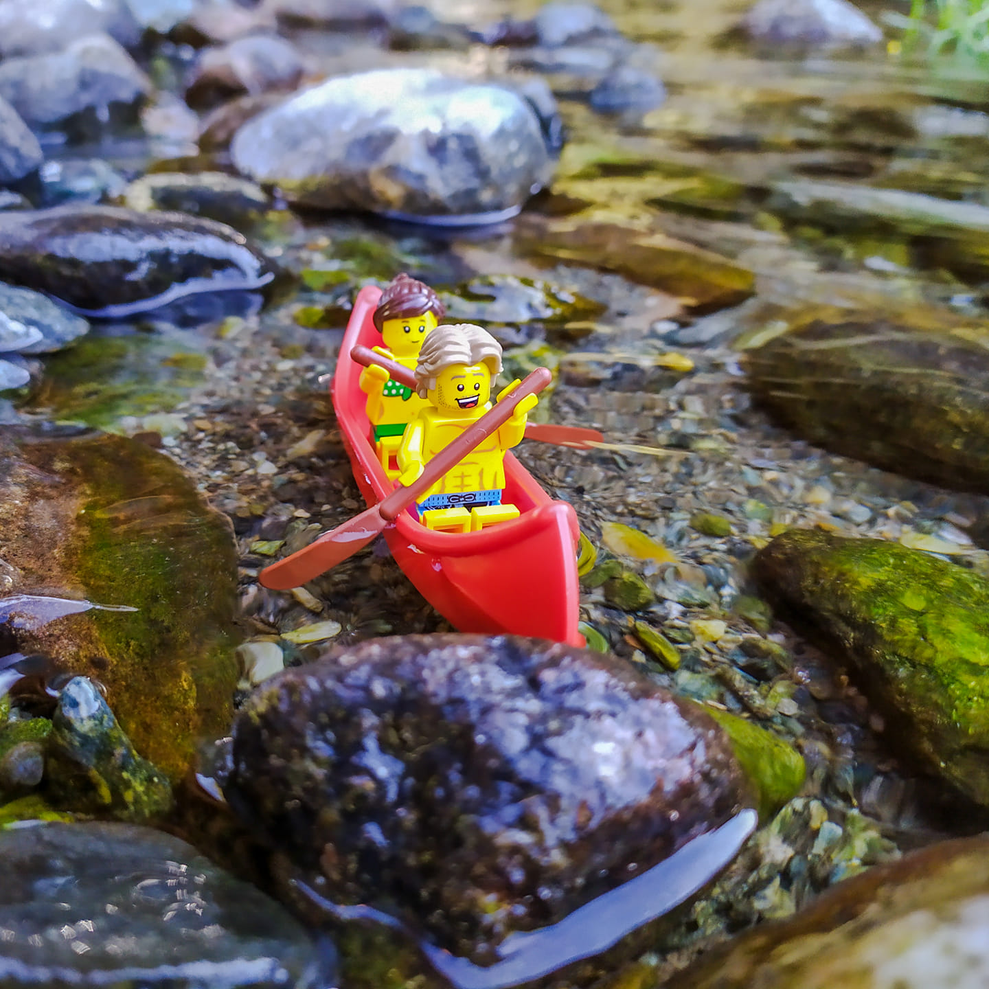 3° Annarita Cappelli